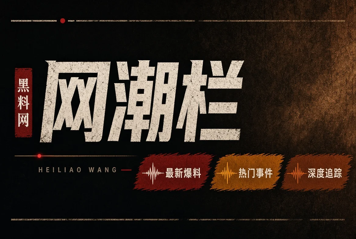 网浪栏网络短视频与传播现象
